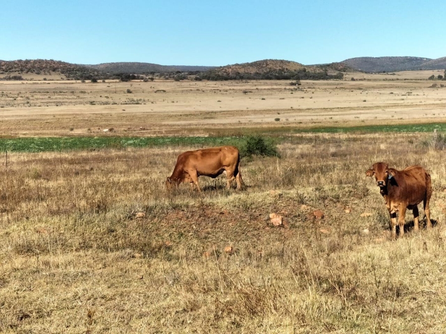 4 Bedroom Property for Sale in Vredefort Rural Free State